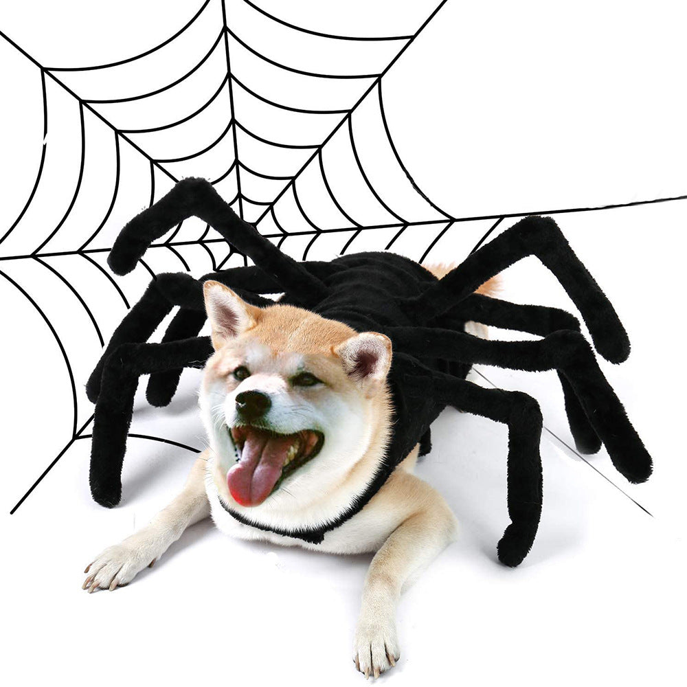 Funny Spider costume for cats and small dogs