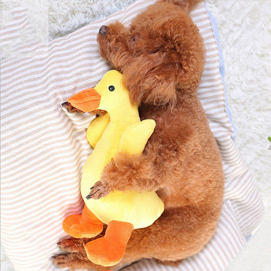 Soft Toy for Pet