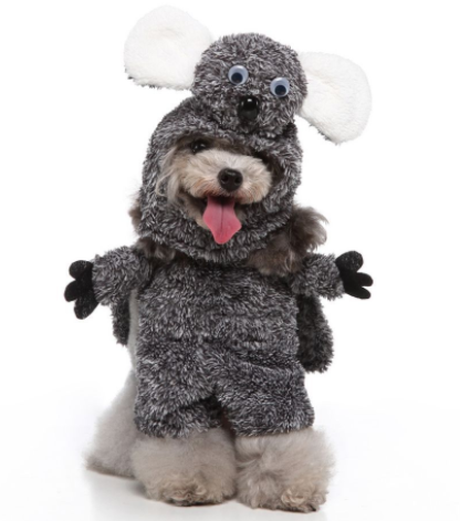 Funny Dog Costumes