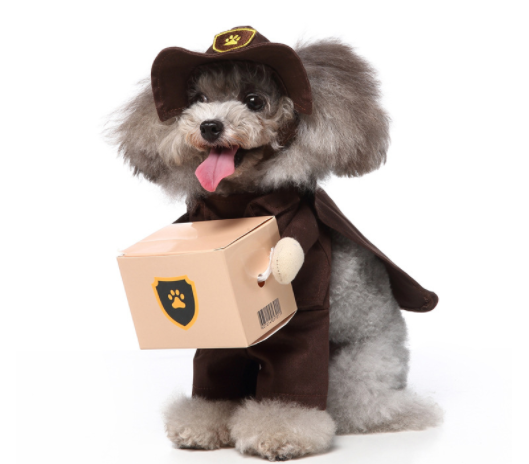 Funny Dog Costumes