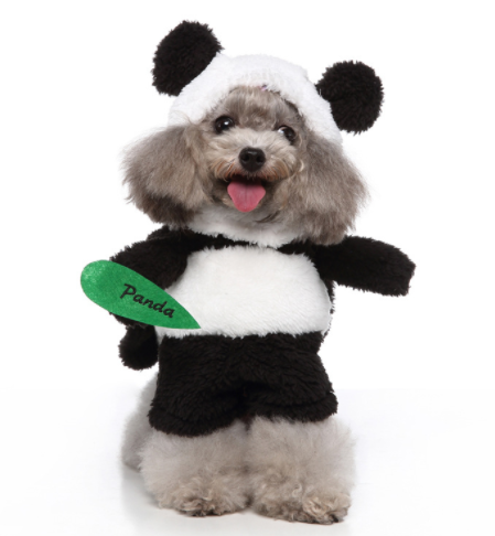 Funny Dog Costumes