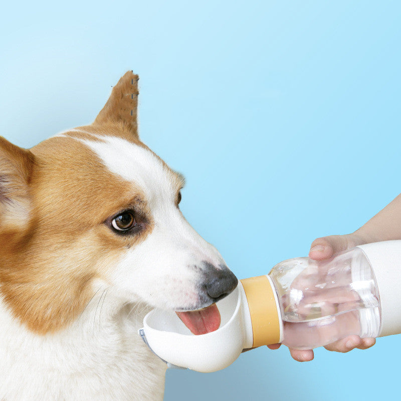 Portable water bottle with cup