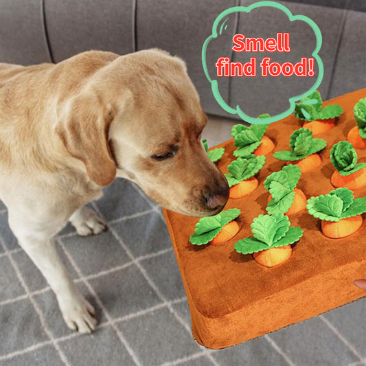 Interactive : Dog Carrot Toys