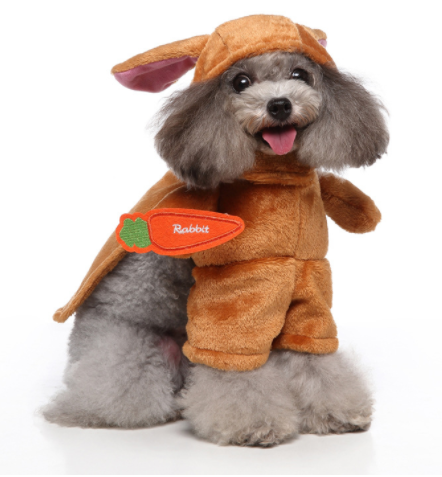 Funny Dog Costumes